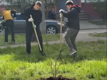 День единых действий